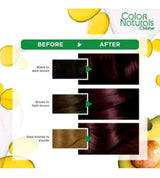 Garnier Color Natural Hair Color 3.6