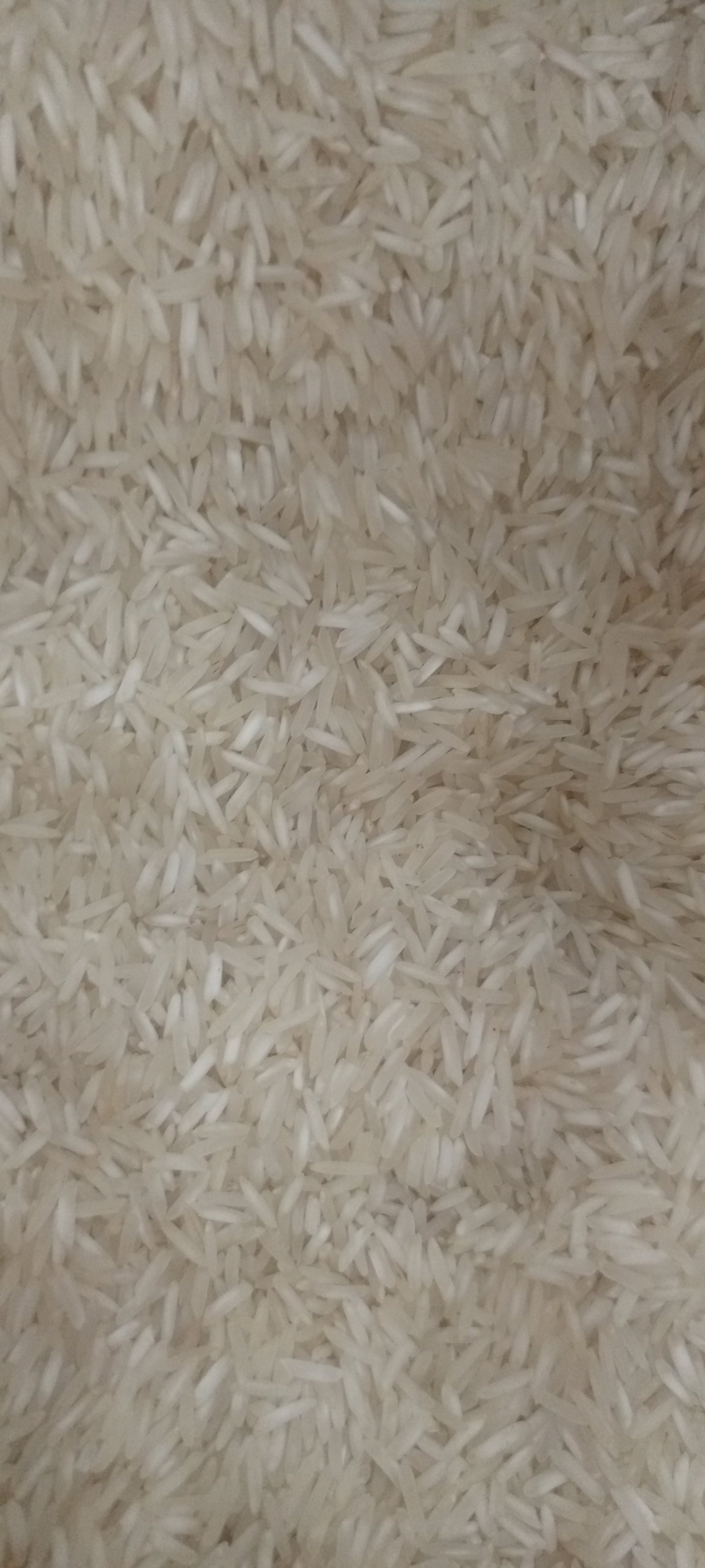 Daily use Rice 10kg