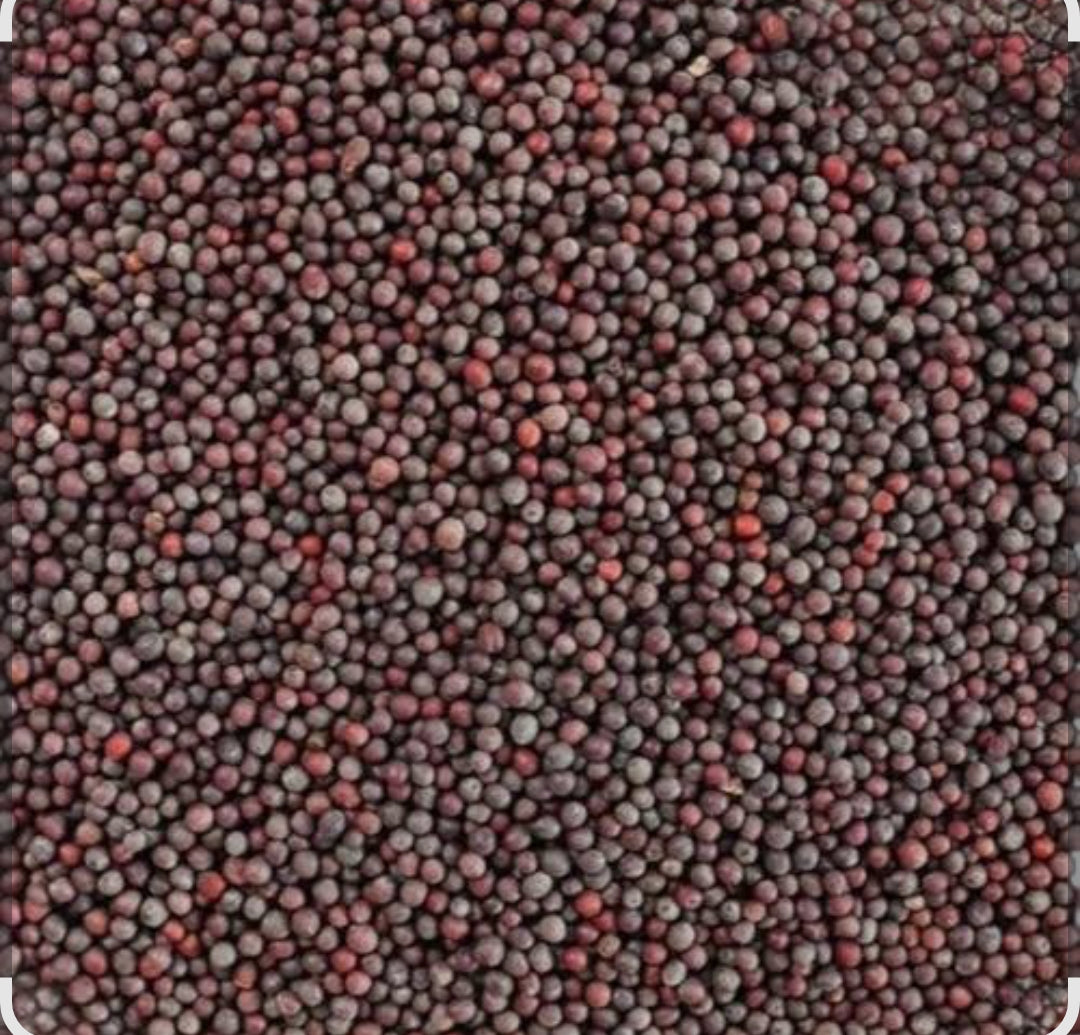 Rai (Mustard Seeds) Sabut 50gm
