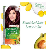 Garnier Color Natural Hair Color 3.6