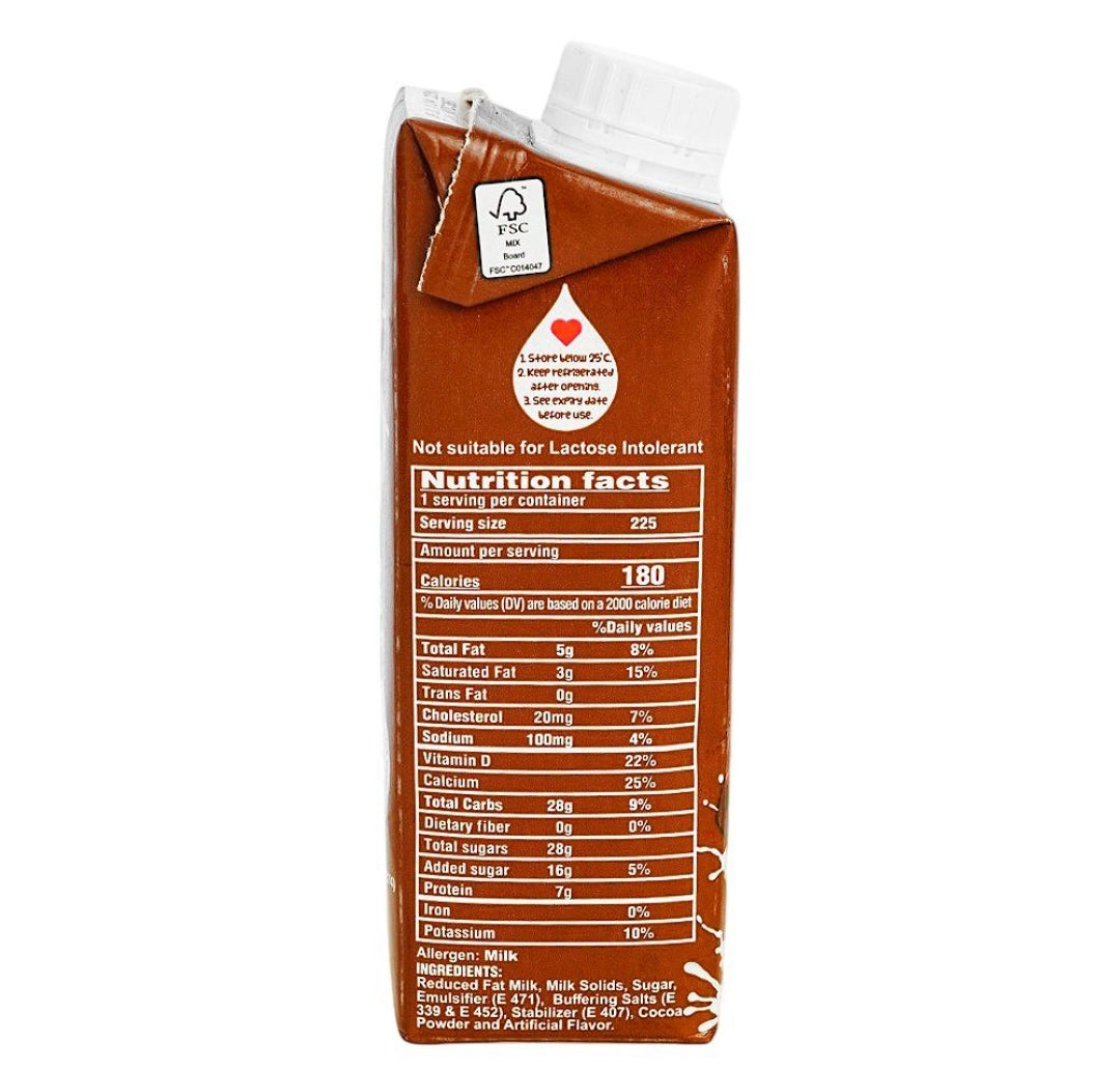 Day Fresh Chocolate Milk 235ml